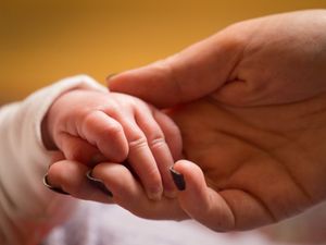 Supporting image for story: MP proposes new law so unmarried mothers can name deceased father on certificate