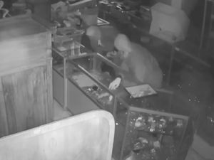Supporting image for story: BBC Bargain Hunt star Charles Hanson's auction house targeted by hammer-wielding ram-raid crook in £21,000 raid