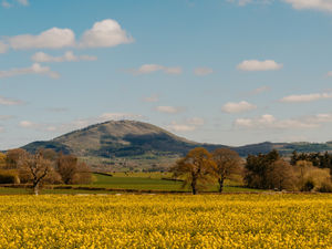 Supporting image for story: Abandoned campfire on The Wrekin sparks ‘serious’ wildfire warning