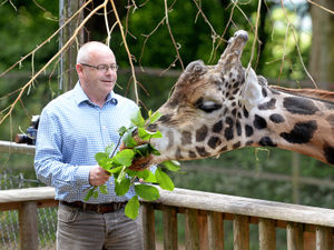 Derek Grove with a giraffe